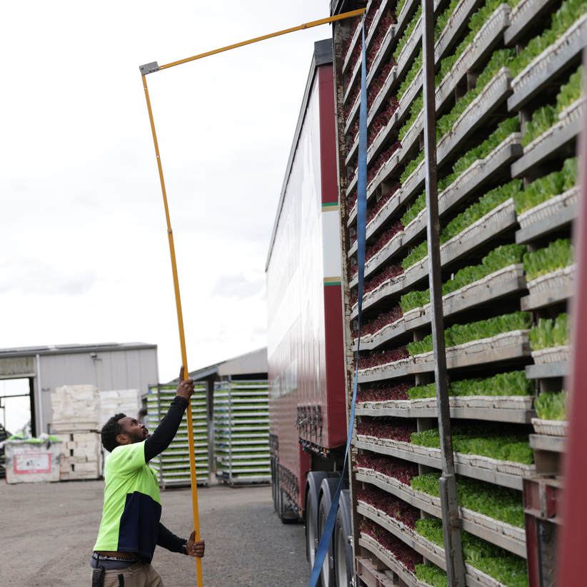 Truckystrapper | Safe Load Securing Tool in Australia